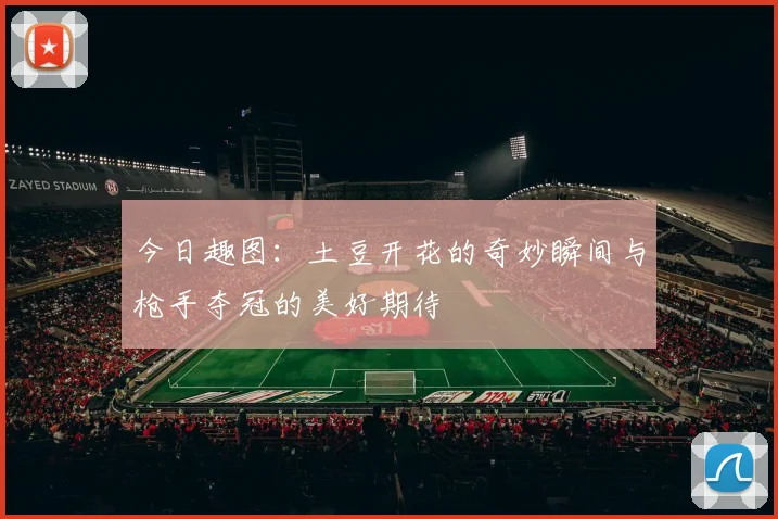 今日趣图：土豆开花的奇妙瞬间与枪手夺冠的美好期待