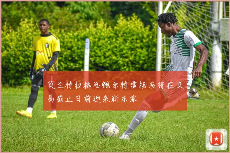 莫兰特拉梅洛鲍尔特雷杨或将在交易截止日前迎来新东家